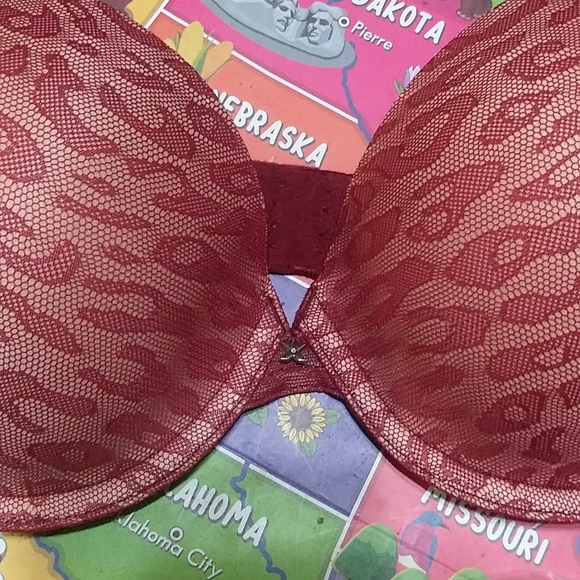 Fredrick's of Hollywood Burgundy Leopard Bra & Panty Set 32D & (S) - Picture 3 of 16